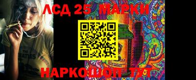 индика Балахна
