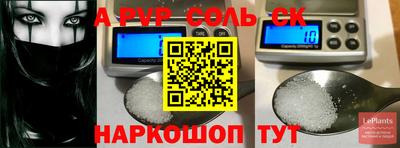 индика Балахна